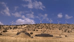 windfarm