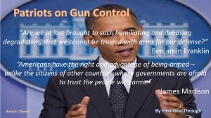 Patriots Gun Control1