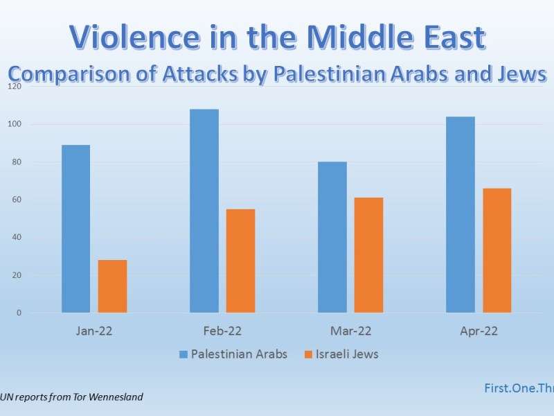 Radical Arab “Settlers”