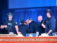 Normalized Violence