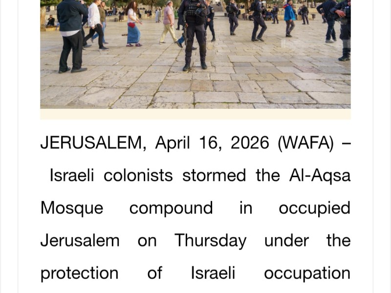 Storming Words, Not&nbsp;Mosques