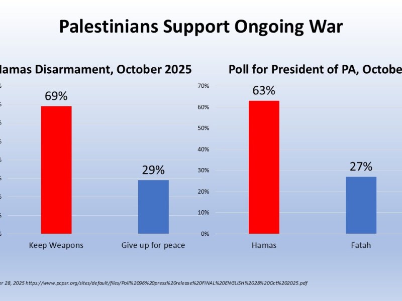 Gazans Own This&nbsp;War